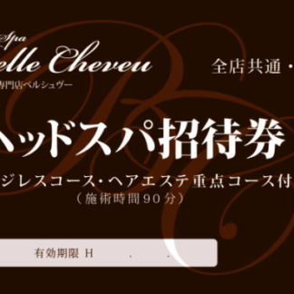 エイジレスヘアエステ